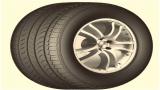 225/55ZR16 HG01 99 XLW 